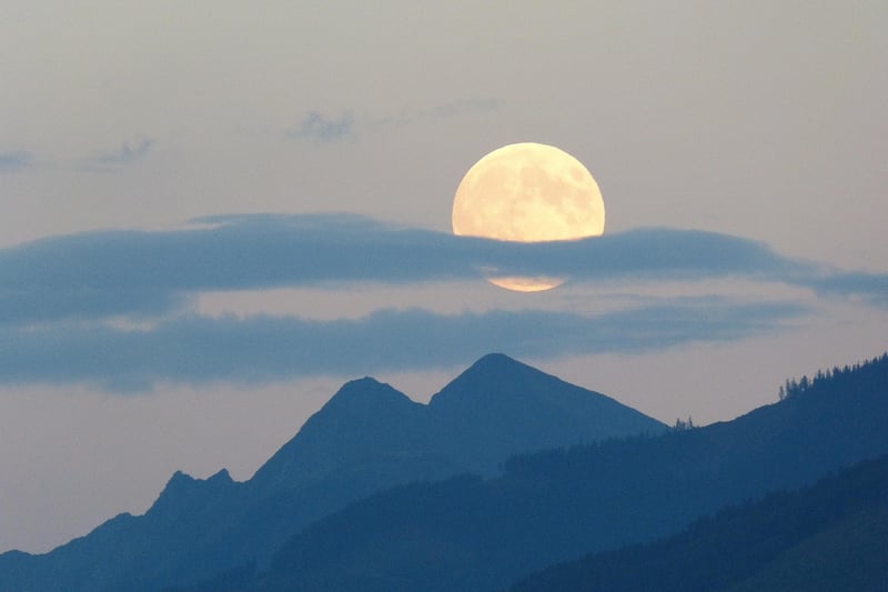 Moon Phase Backdrops